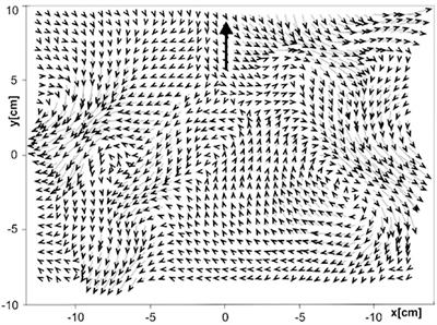 Locating the Inexhaustible: Material, Medium, and Ambient Information